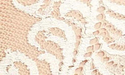 Natori Feathers Hipster Briefs In Cafe