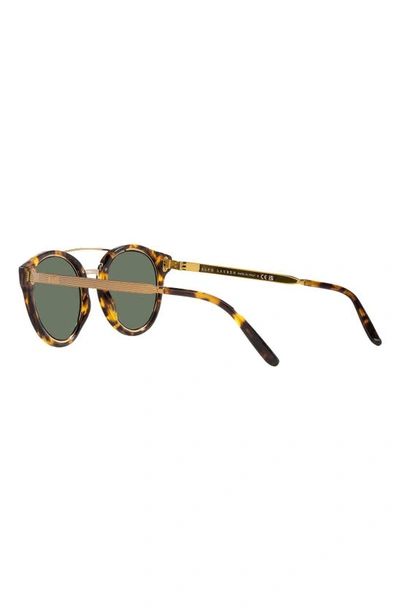 Shop Ralph Lauren 49mm Round Sunglasses In Havana/ Green