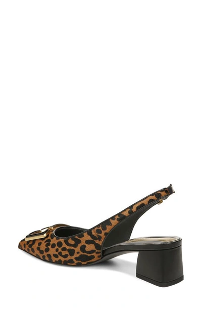 Shop Franco Sarto Racer Slingback Pointed Toe Pump In Whiskey