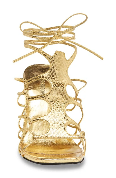 Shop Jeffrey Campbell Le Freak Ankle Wrap Sandal In Gold Metallic Snake