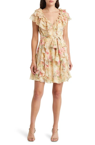 Shop Ted Baker Ammiah Floral Ruffle Chiffon Dress In Tan