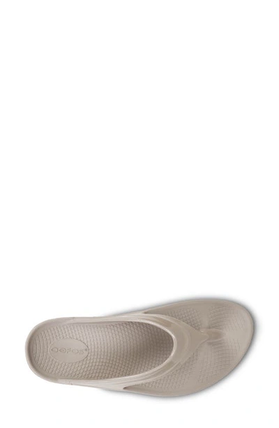 Oofos Oomega Flip Flop In Nomad