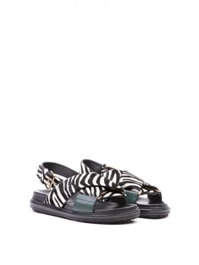 Shop Marni Zebra Flat Sandals In Ziblack White Glas
