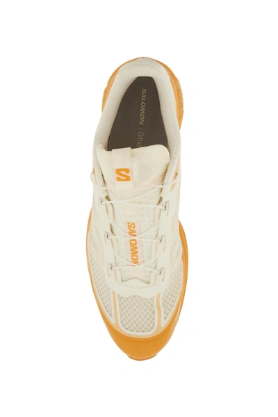 Shop Salomon Xt 6 Sneakers