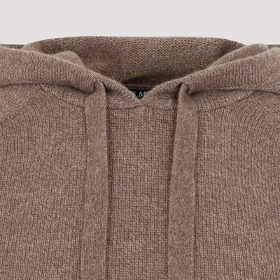 Shop 's Max Mara Virgola Hooded Sweater In Brown