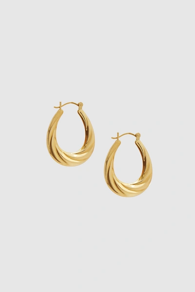 Shop Anine Bing Oval Twist Hoop Earrings In 14k Gold In 14k Yellow Gold