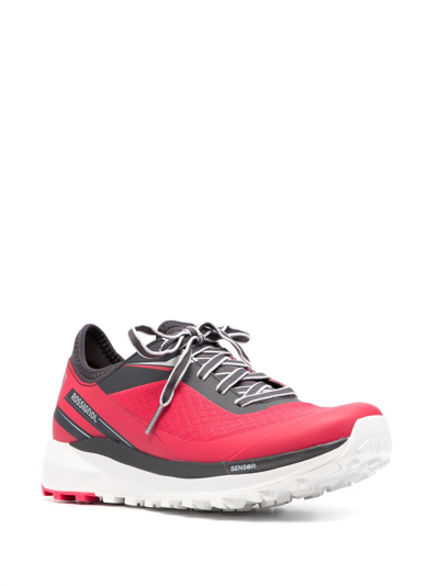 Rossignol Logo-print Low-top Sneakers In Pink