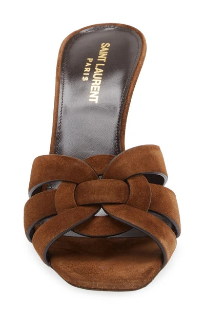 Shop Saint Laurent Tribute Slide Sandal In Land