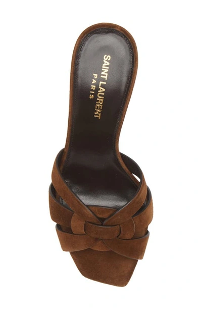 Shop Saint Laurent Tribute Slide Sandal In Land