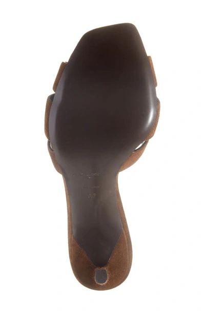 Saint Laurent Tribute Slide Sandal In Brown
