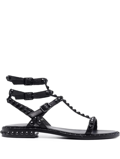 Shop Ash Playbis Sandal In Black