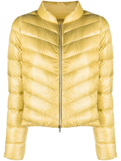 Shop Herno Zip-fastening Padded Jacket In Yellow