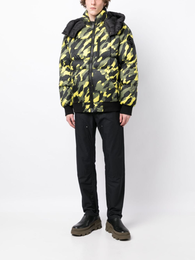 Shop Moose Knuckles Camouflage-print Hooded Bomber Jacket In Yellow