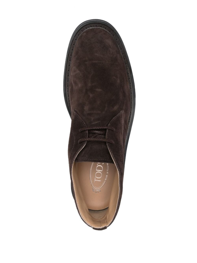 Tod's Polacco Extralight Suede Loafers In Brown