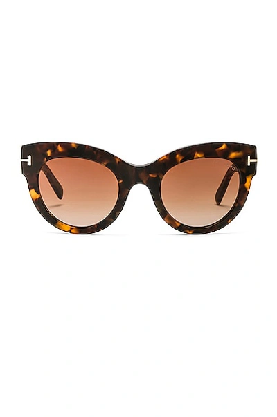 Shop Tom Ford Lucilla Sunglasses In Shiny Vintage Dark Havana