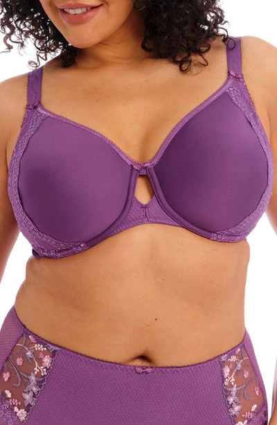 Shop Elomi Charley Full Figure Spacer Underwire Bra In Pansy