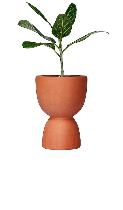 Franca Nyc Medium Stacked Planter In Brown