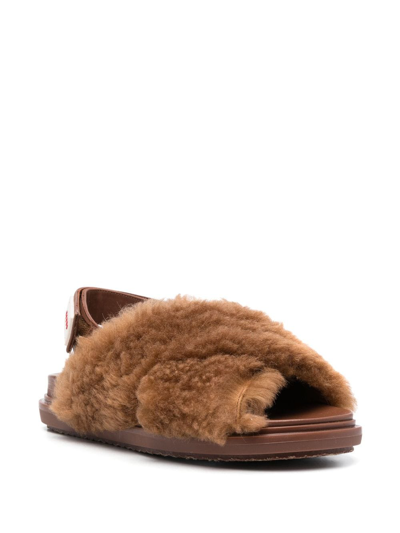 Shop Marni Fussbet Shearling Sandals In Braun