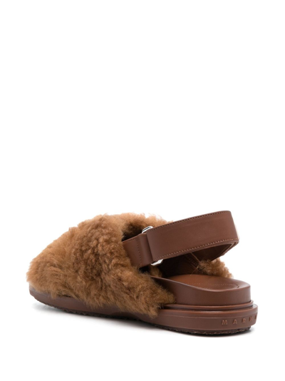 Shop Marni Fussbet Shearling Sandals In Braun