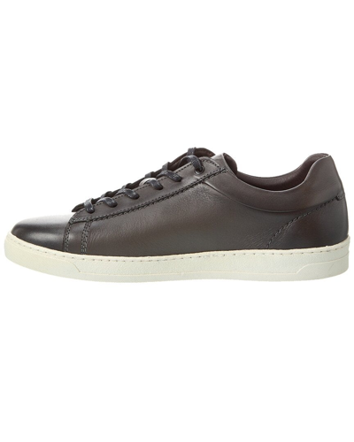 Shop M By Bruno Magli Diego Leather Sneaker In Grey