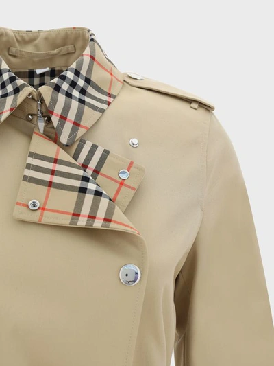 Shop Burberry Trench Coats In Honey