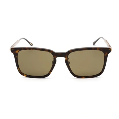 Pre-owned Chopard Unisex Sunglasses Mud Green Lens Shiny Dark Havana Plastic Sch339 722p
