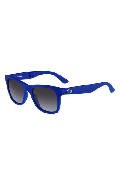Shop Lacoste 52mm Foldable Retro Frame Sunglasses In Matte Blue