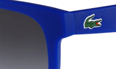 Shop Lacoste 52mm Foldable Retro Frame Sunglasses In Matte Blue