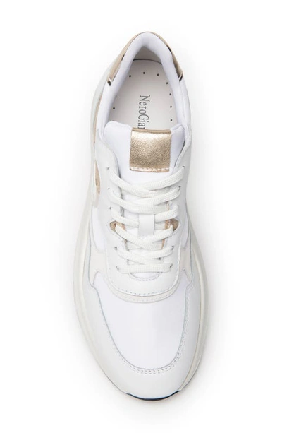 Shop Nerogiardini Logo Sporty Sneaker In White