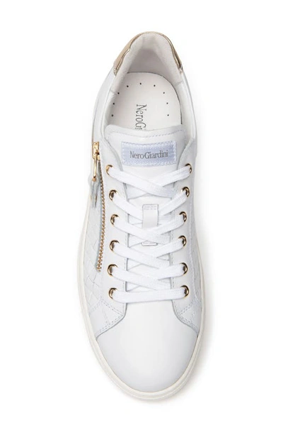Shop Nerogiardini Basketweave Zip Sneaker In White