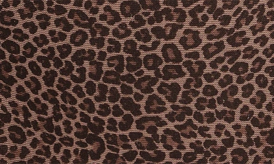 Shop Elomi Matilda Thong In Leopard