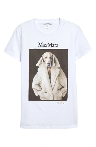 Shop Max Mara Wegman Cotton Graphic T-shirt In White