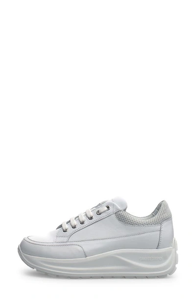 Shop Candice Cooper Spark Two Platform Sneaker In White