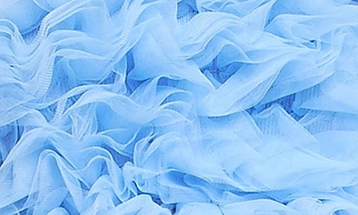 Endless Rose Ruffle Tulle Crop Tank In Powder Blue