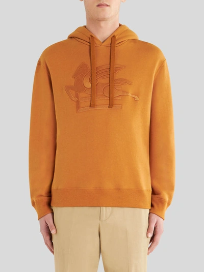 Shop Etro Hooded Sweatshirt With Logo In Brown