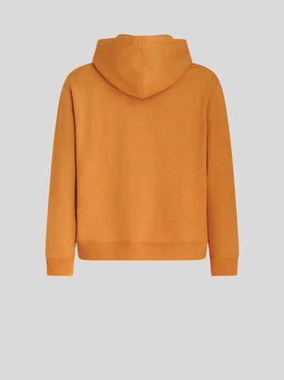Shop Etro Hooded Sweatshirt With Logo In Brown
