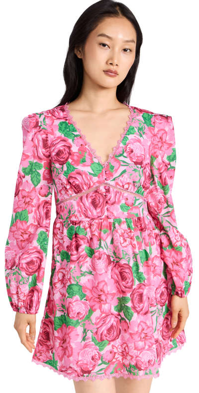 Shop Generation Love Felicia Poplin Floral Mini Dress Rose Garden Pink Multi
