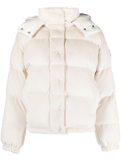 Shop Moncler Neutral Daos Hooded Puffer Jacket In Neutrals