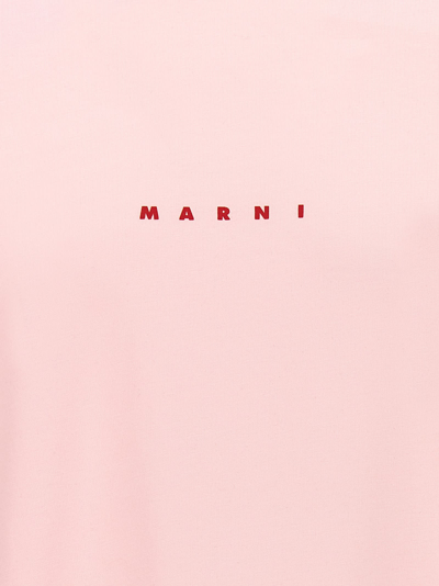 Shop Marni Logo Print T-shirt In Pink