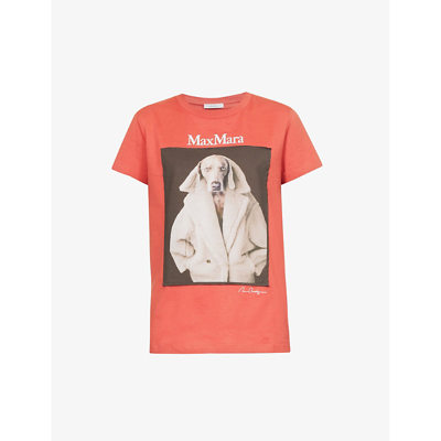 Shop Max Mara Valido Graphic-print Cotton-jersey T-shirt In Salmon
