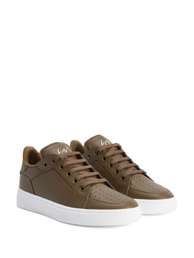 Shop Giuseppe Zanotti Leather Lace-up Sneakers In Green