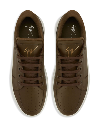 Shop Giuseppe Zanotti Leather Lace-up Sneakers In Green