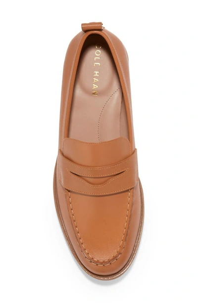 Cole Haan Stassi Penny Loafer In Pecan Leather