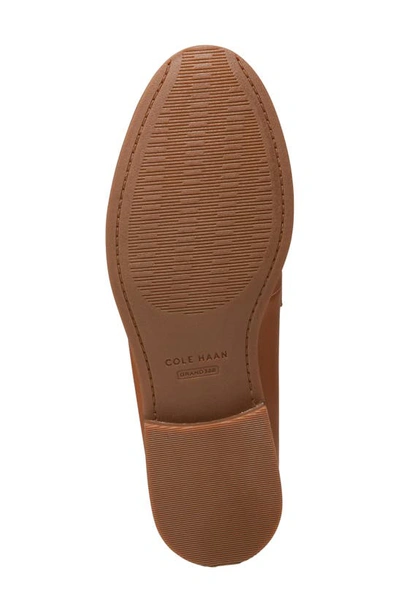 Cole Haan Stassi Penny Loafer In Pecan Leather