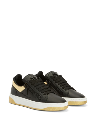 Giuseppe Zanotti Gz94 Low-top Sneakers In Black