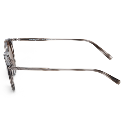 Ferragamo Women's Sf911s 53mm Sunglasses In Brown