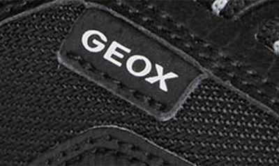Shop Geox Kids' Perth Sneaker In Black/ White
