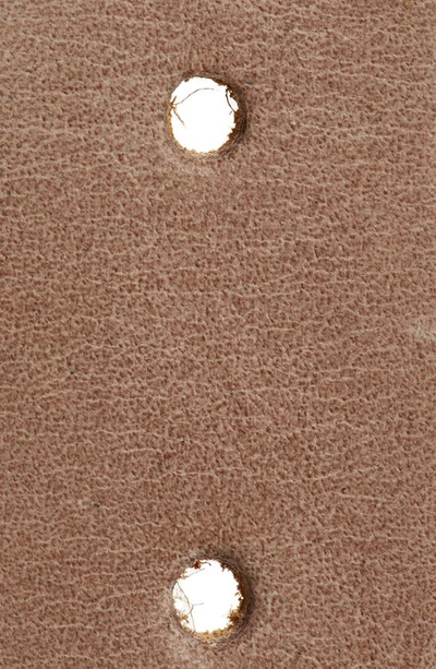 Ada Infinity Leather Belt In Parchment