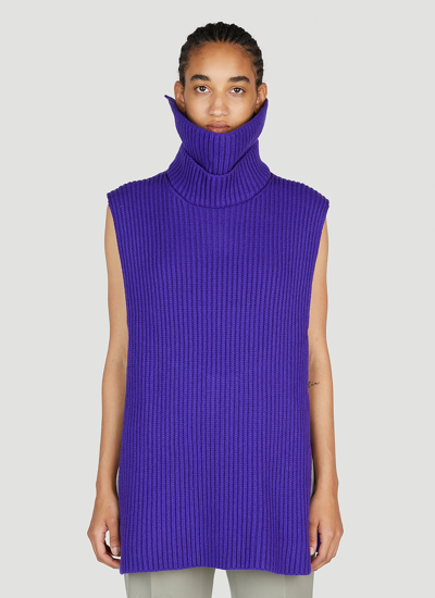 Shop Jil Sander High Neck Sleeveless Sweater In Blue
