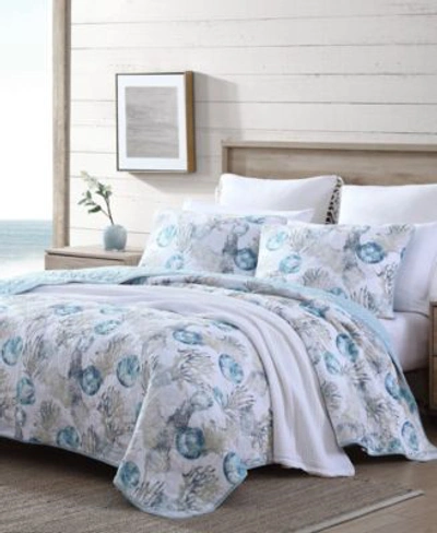 Shop Tommy Bahama Home Tommy Bahama Freeport Quilt Set Collection Bedding In Blue